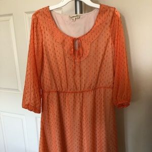 NWT Tea Length Dress
